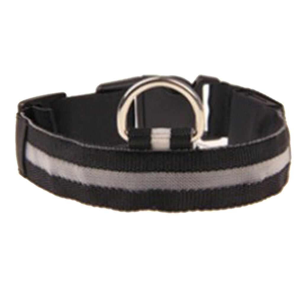 Pet Lighting Collar Light Up for Dog Puppy French Bulldog Husky Multicolor