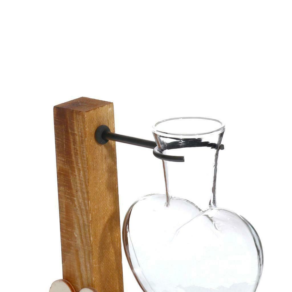 Glass Terrariumin Test Tube Vase in Wooden Stand Planter Hydroponic Plants