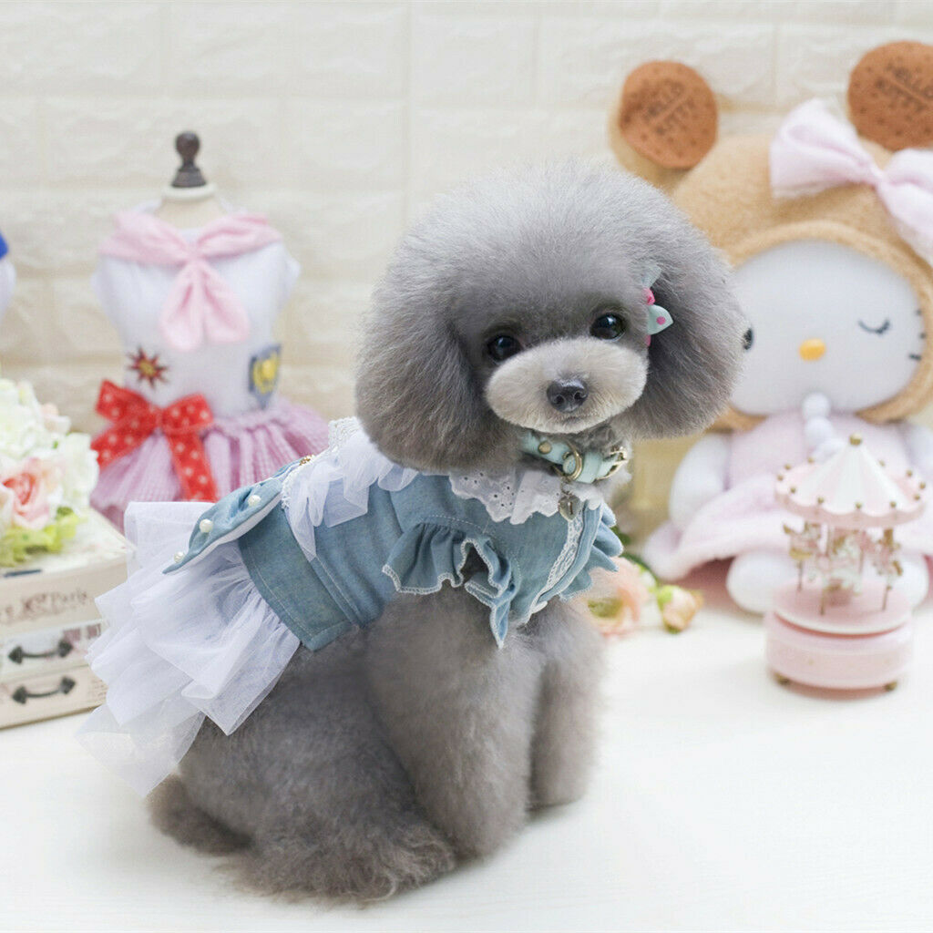 Dog Wedding Dress Denim Lace Stitch Dress Clothes Bownot Princess Skirt M