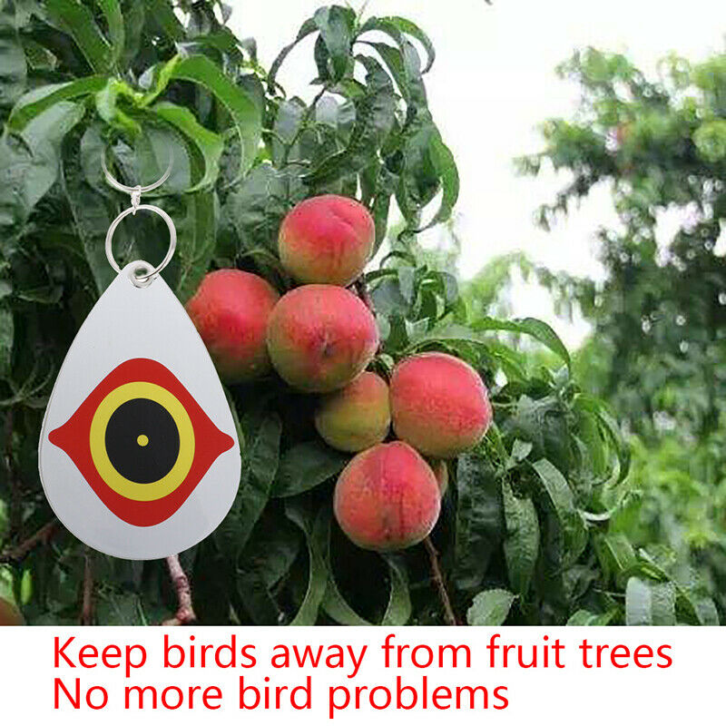 5Pcs Bird Repellent Diverter Discs Scarer Eye Scare Birds Away Pest DeterreDD