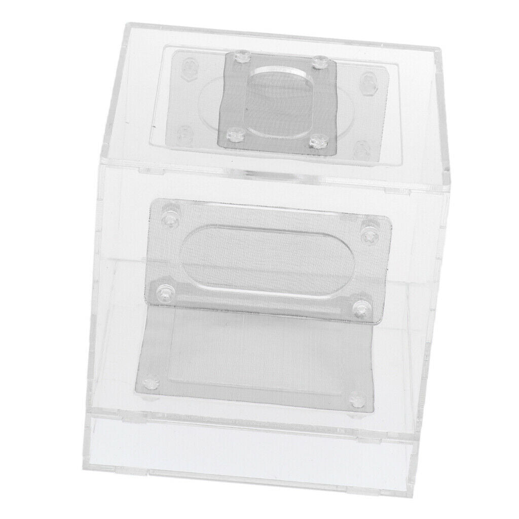 Small Reptile Lizard Spider Scorpion Insect Vivarium Feeding Rearing Box