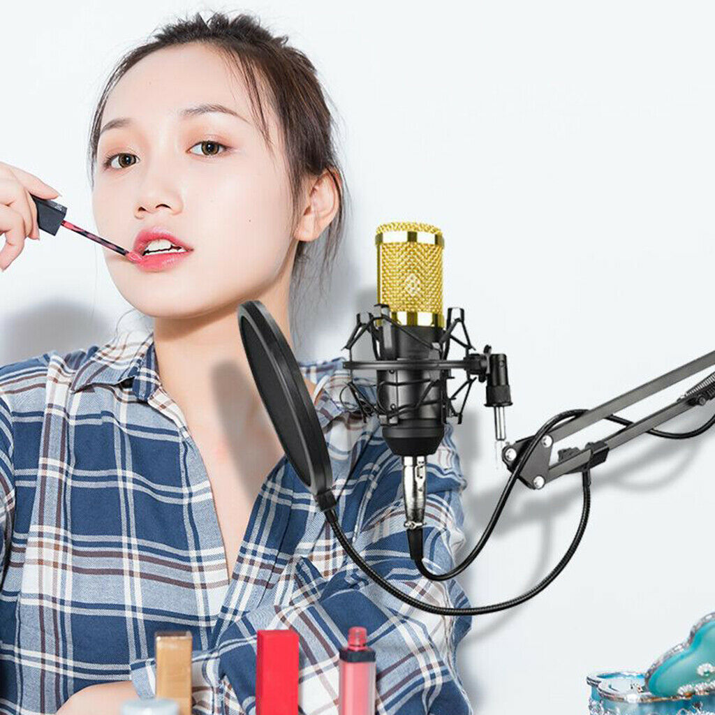 Condenser Microphone Kit for Studio Recording Black B with Sound Card