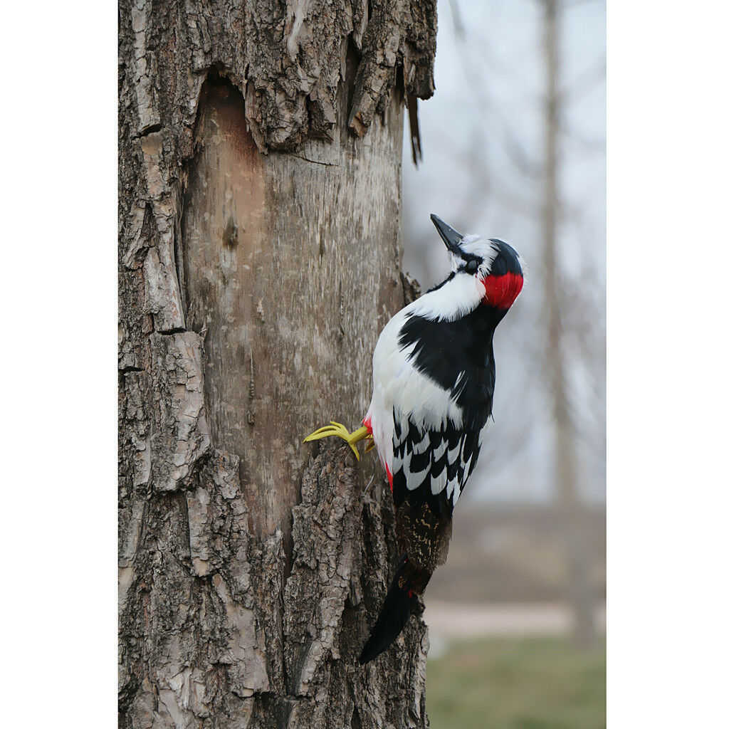Home Artificial Woodpecker Bird Fur Imitation Animal Garden Decor 33cm