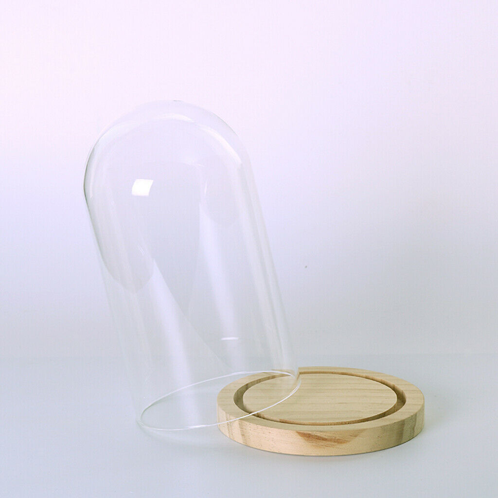 Glass Cover Landscape Vase Terrarium Round Wood Tray Flower Decor Gift L
