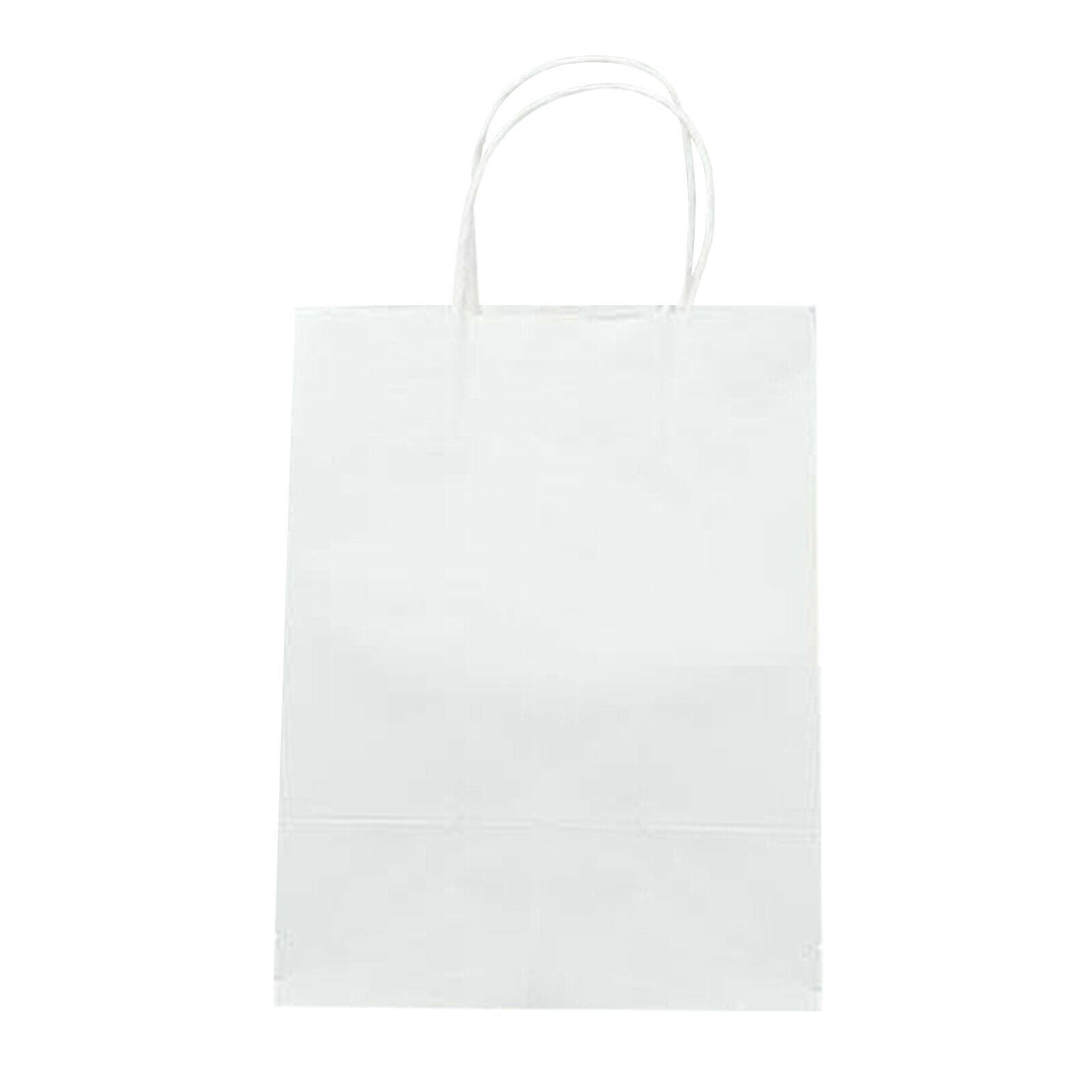 Gift Bag Party Present Goody Favor Bags Business Retail Bags 15x8x21cm