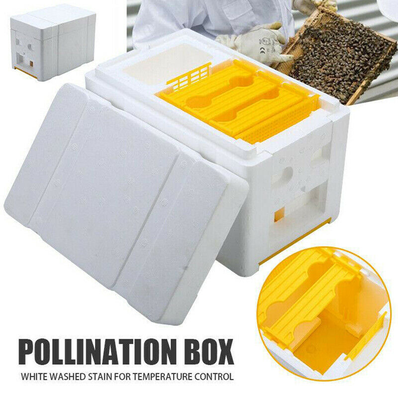 1PC Bee Hive Beekeeping King Box Pollination Box Foam Frames Beekeeping Tool KSJ