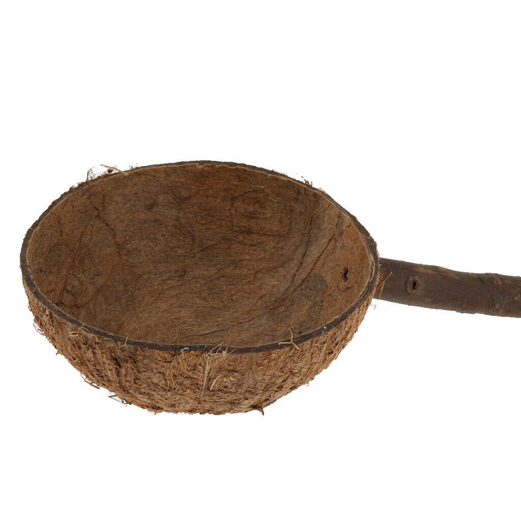 Bird Chew Perch Stand Stick with Coconut Shell Bowl Hamster Rat Feeding