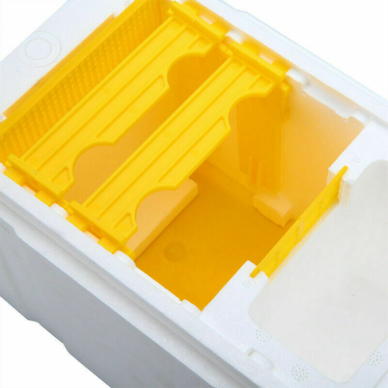 Bee Honey Beehive Foam Frames Beekeeping Kit Bee Hive King Pollination Boxes