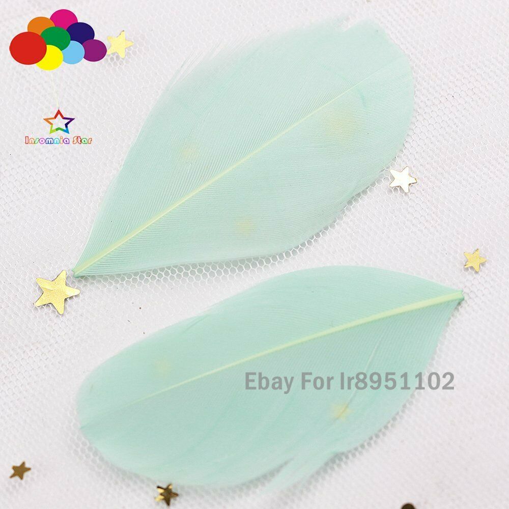 Mint DIY High Quality 100 pcs 5-7 cm Goose feather for Decor Accessories Craft