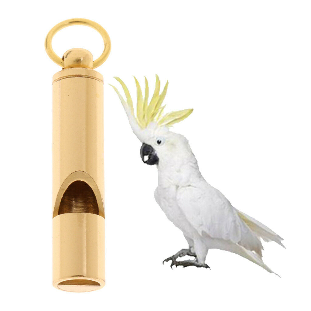 Professional Dog Whistle for Bark Control and Obedience Training Outdoor- Train