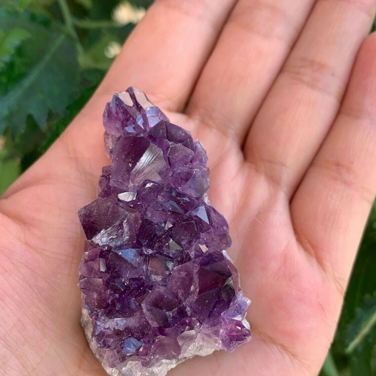 Raw Amethyst Cluster Druzy Collection Box, Deep Purple Amethyst