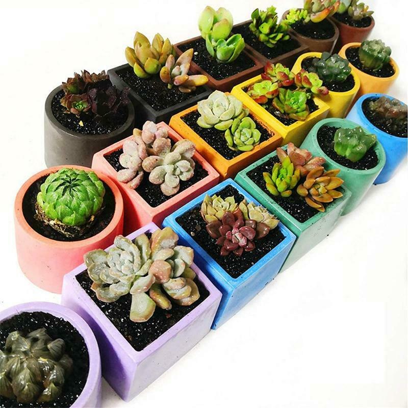 3PCS Flower Pot Silicone Mold DIY Succulents Concrete Plaster Cement Mold