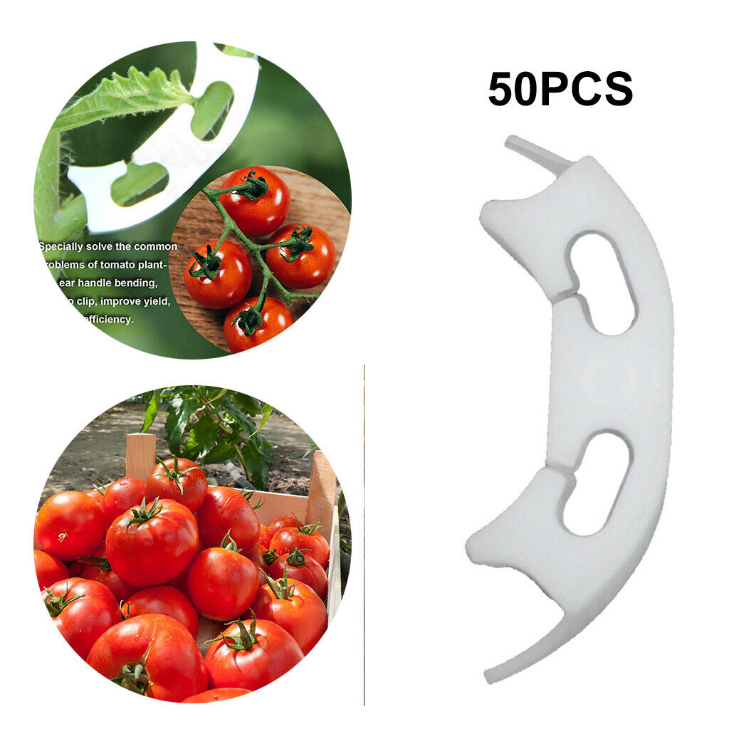 50Pack Plant Support Clips Clamp Stems Grafted Transplanting Retaining Clip