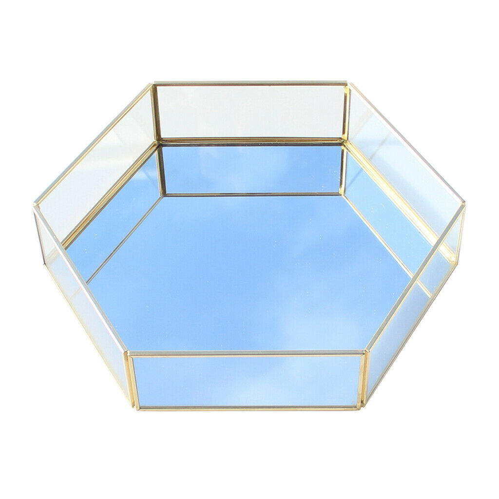 Artistic Clear Glass Jewelry Box Succulent Moss Plant Terrarium Display Planter