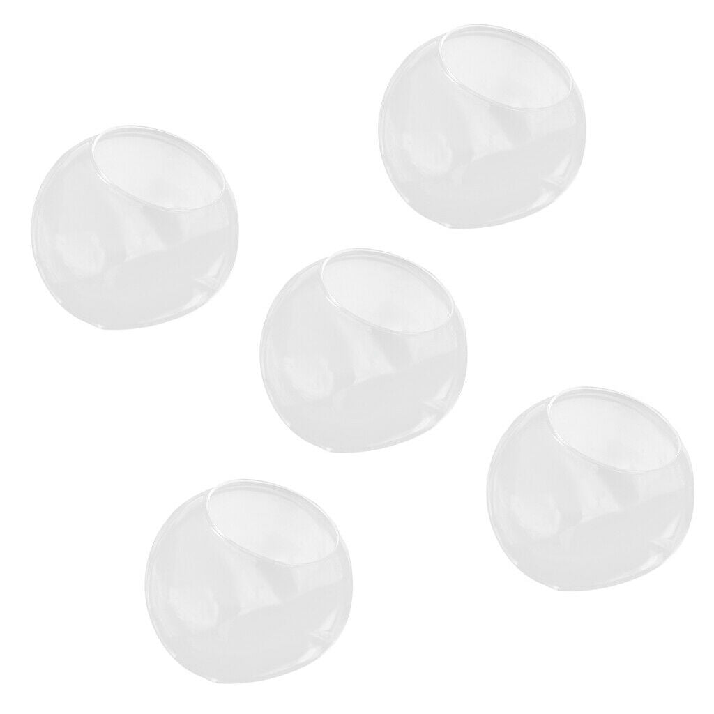 5Pcs Transparent Ball Glass Hydroponic Pot Flower Vase Terrarium Home Decor