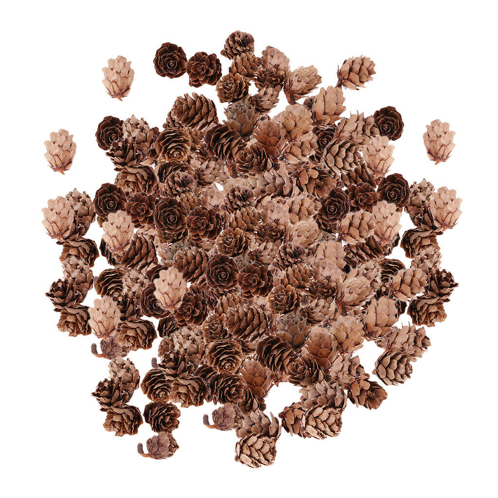 300 Pieces  Natural Pine Cones Christmas Natural Pine Cones Ornaments for