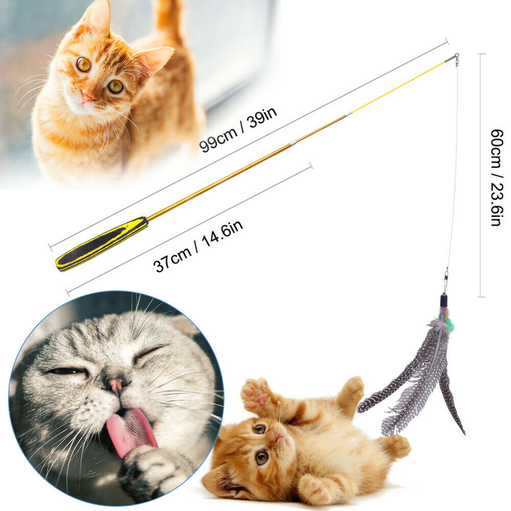 Interactive Cat Teaser Wand Rod Bird Feather Wire Chaser Funny Toys Retractable
