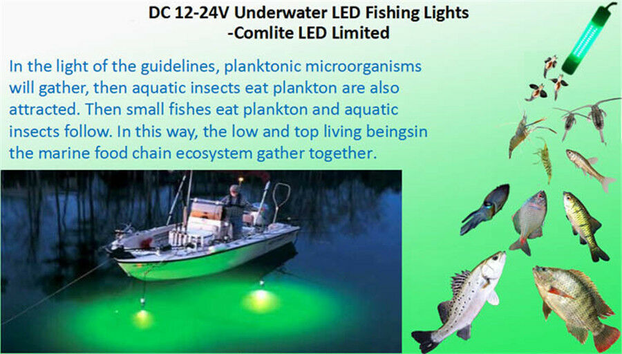 12V LED GREEN UNDERWATER SUBMERSIBLE NIGHT FISHING LIGHT crappie shad squid boat