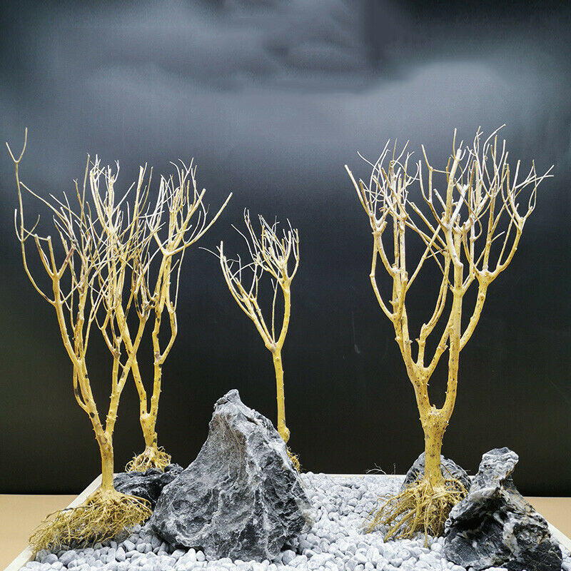 Driftwood Aquarium Moss Tree Fish Tank Freshwater Decor Landscape Bonsai Supply