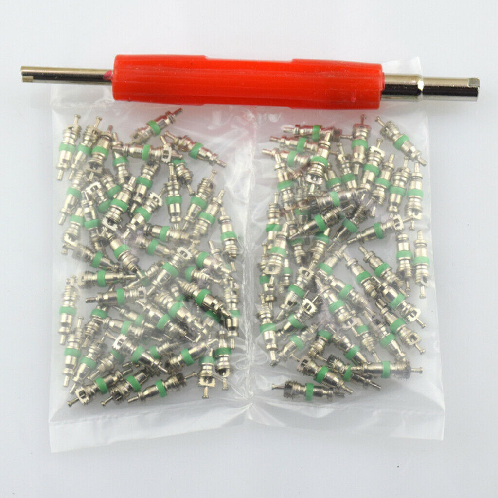 101 Pcs Assortment A/C AC Shrader Valve Core & Tool R12 HVAC Valves kit