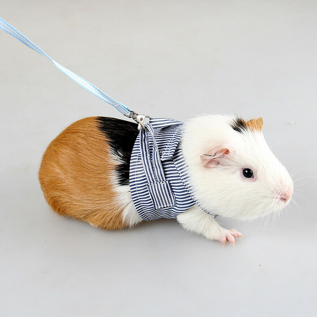 2 Pieces Pet Vest Harness with Leash Rope Walking Clothes Accessories for