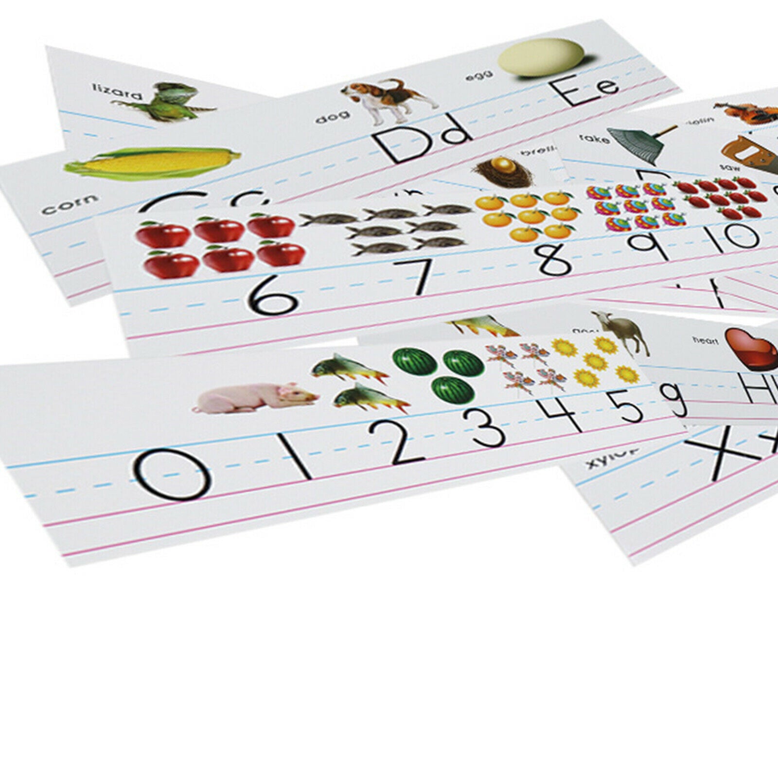 Alphabet Bulletin Board with Picture Cues Kindergarten Bedroom Classroom