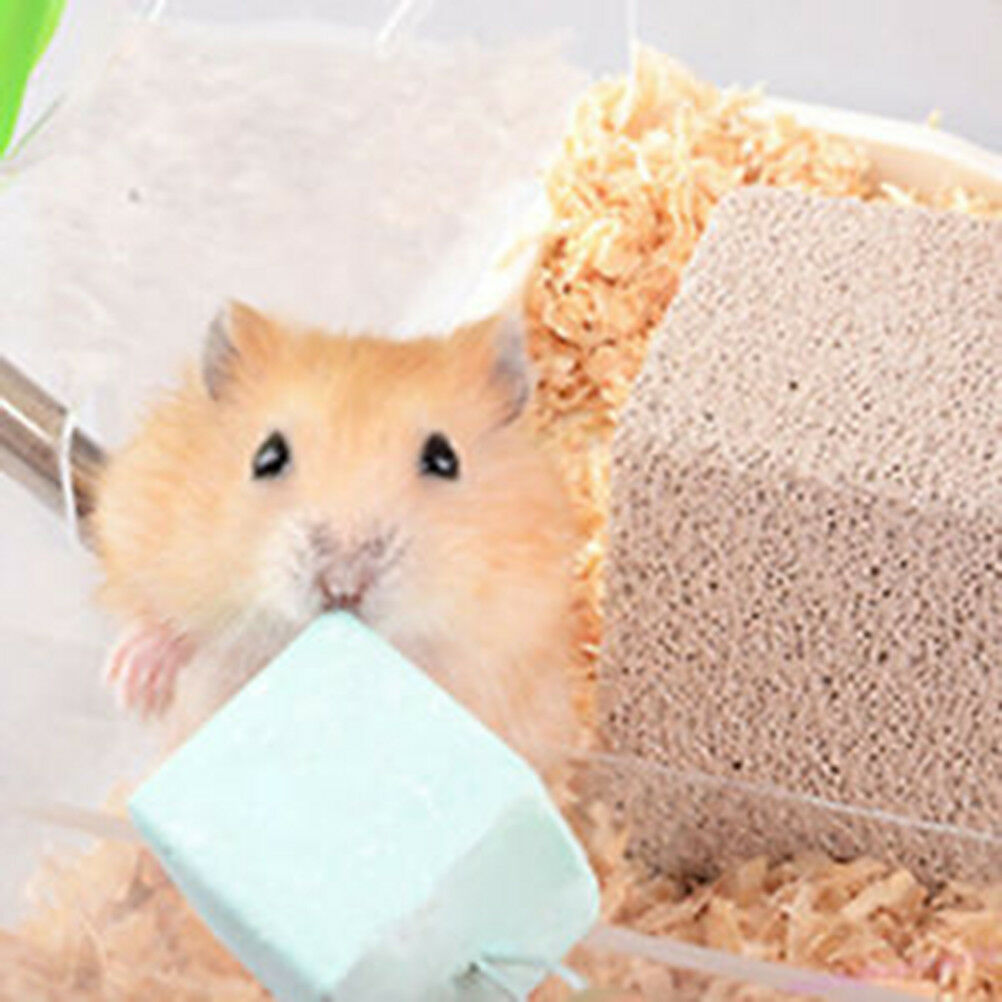 Small Animal Pet Hamster Rabbit Rat Mineral Chew Cube Teeth Grinding Ston.l8