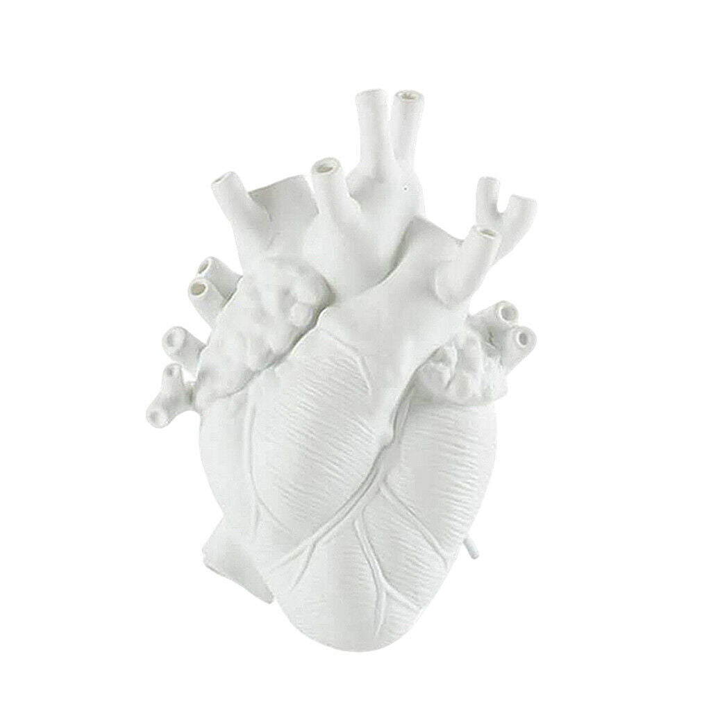 Anatomical Heart Vase Nordic Palnt Pot Planter Desktop Home Art Home Decor