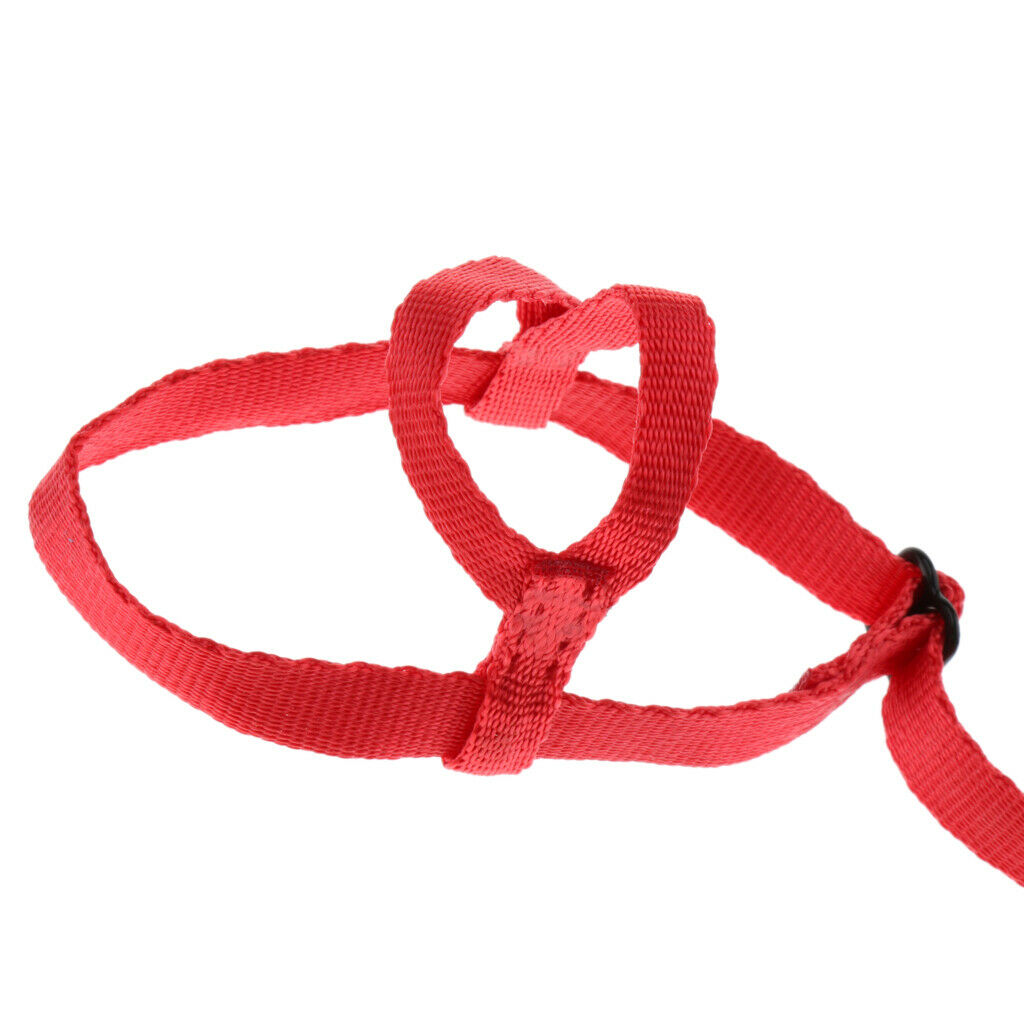 2 Pcs Parrot  Suit Leash Outdoor Adjustable Training Rope Black + Red