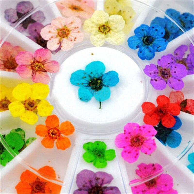 12 Colors Real Dried Flowers Nail Art Decoration DIY Tips Decor Manicure Wheel..