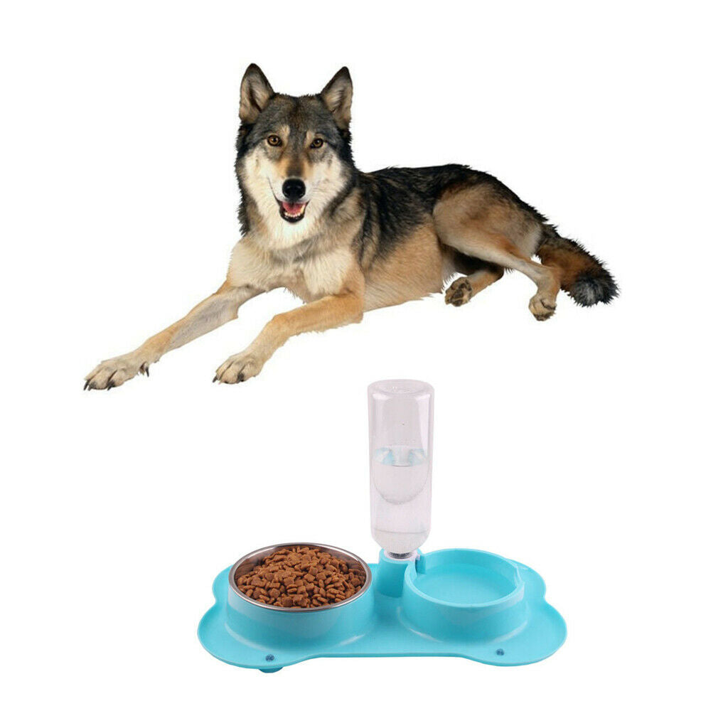 Anti-slip 2 in 1 Pet Dog Feeder Food Water Dispenser Auto Feeding Bowl Blue
