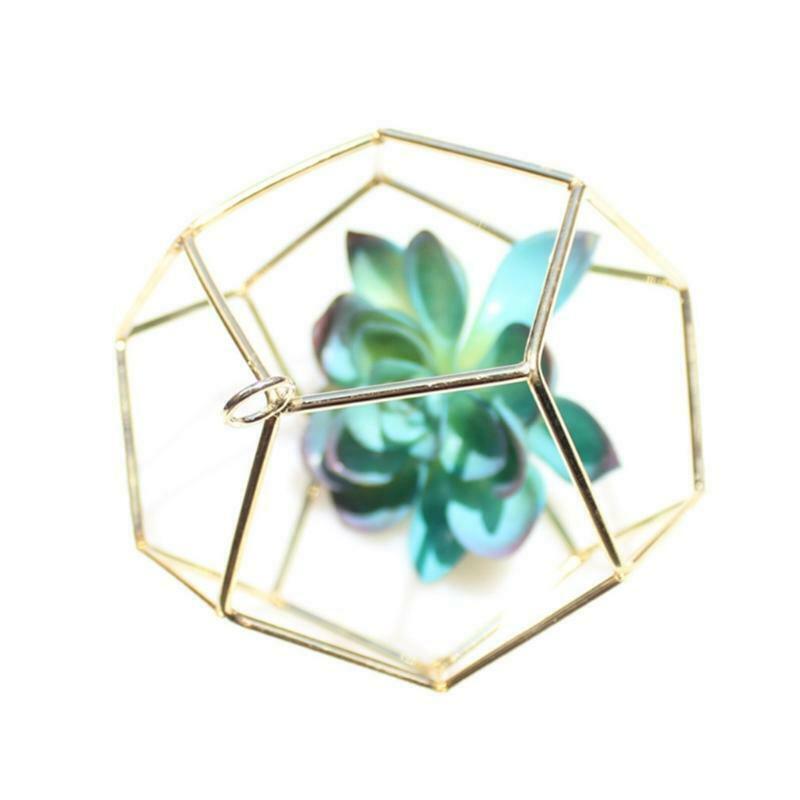 Geometric Football Shape Wall Hanging Air Plant Holer Metal Planter Display Rack