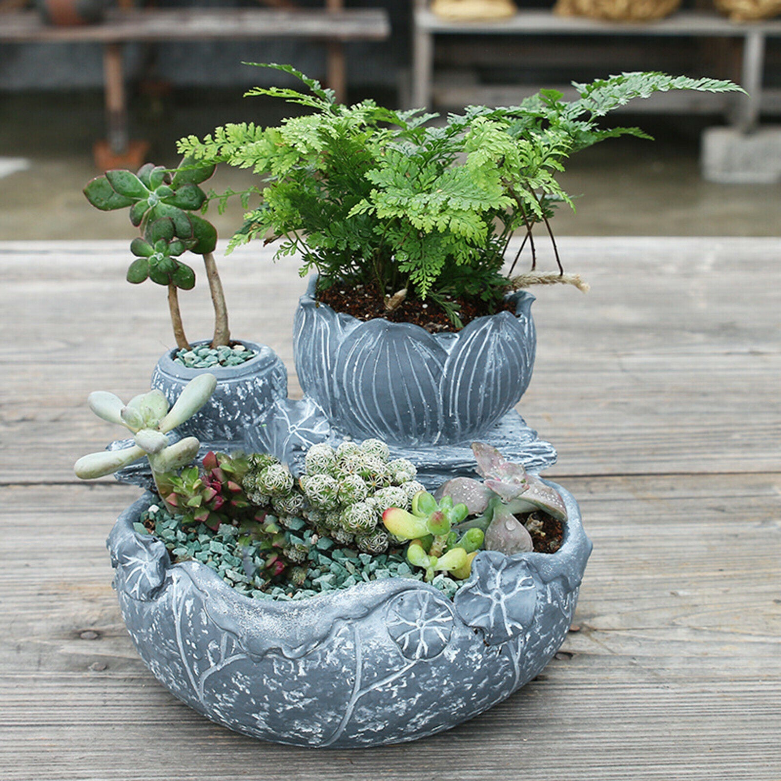 Succulent Planter Flowers Vase Container Home Table Landscape Ornament