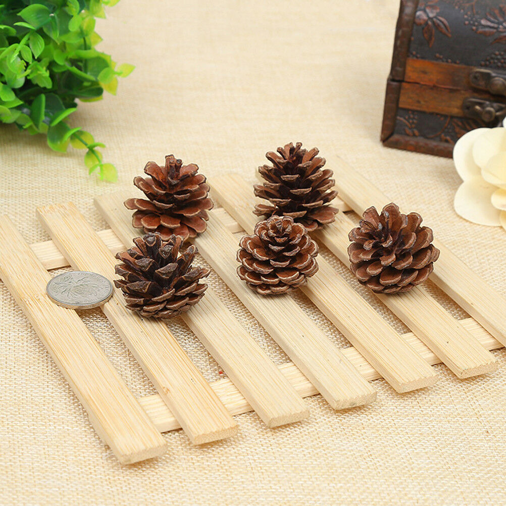 4Pcs Natural pine cones 2-3cm size quality pinecone florists crafts decora.l8