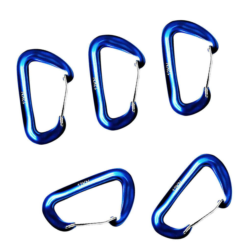 5 Pieces 12KN   Climbing Carabiner Clip Keychain Hammock Hook blue