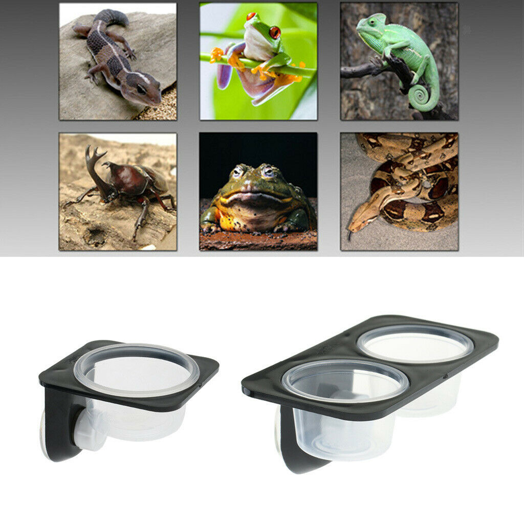 3Pcs Dual + Single Reptile Feeding Basin Dish Bowl with Suction Cup for Worm