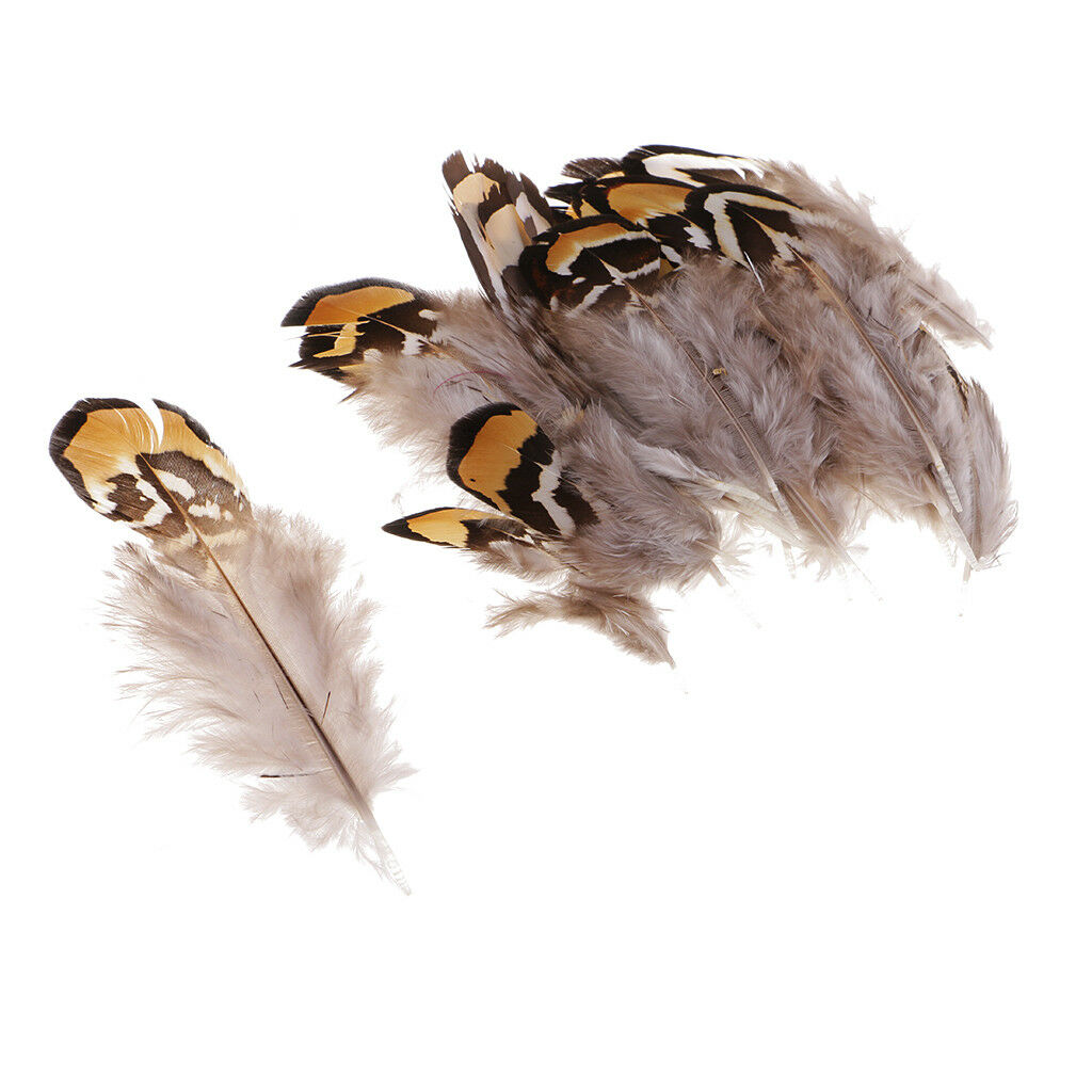 24x Natural Pheasant Feather for Fascinator Millinery Headwear Decor 5-11cm