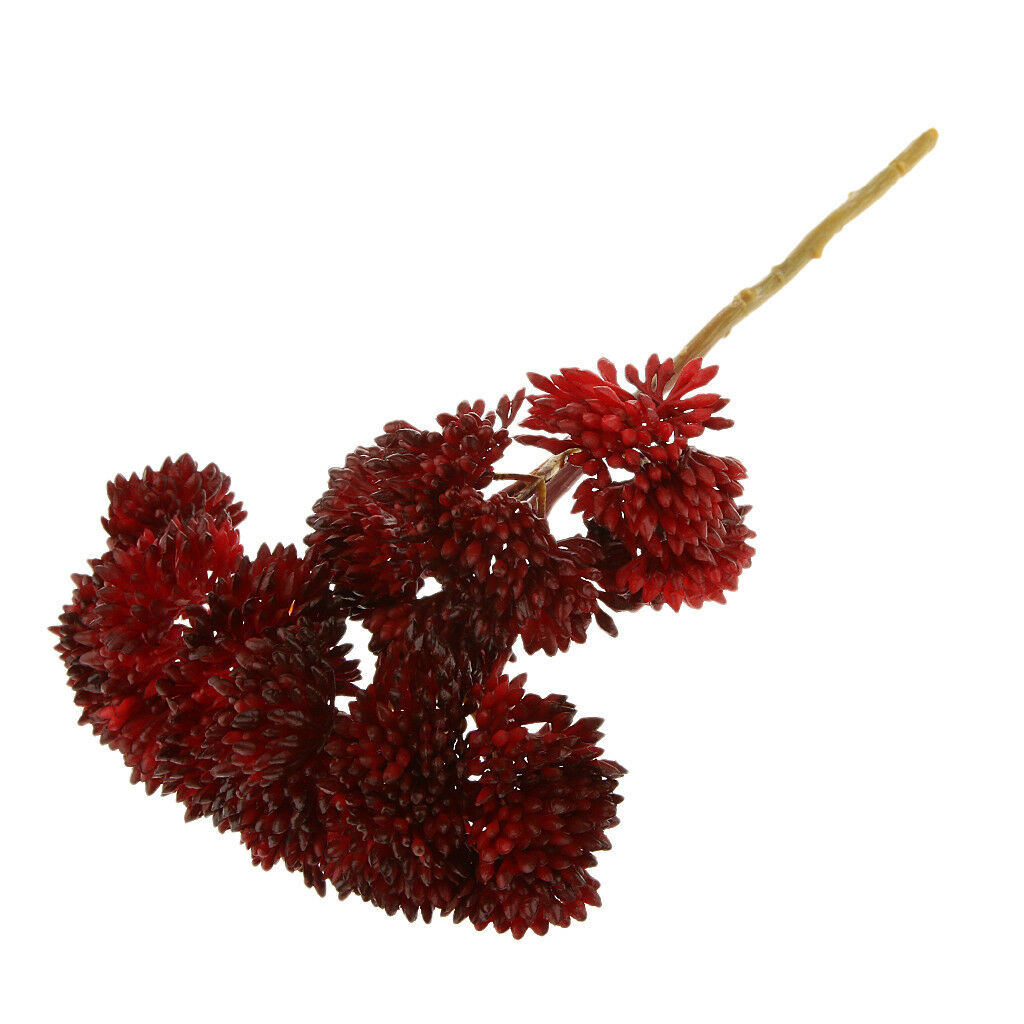 Artificial Fruit Succulent Grass Desert Plant Wedding Home Garden Decor Red