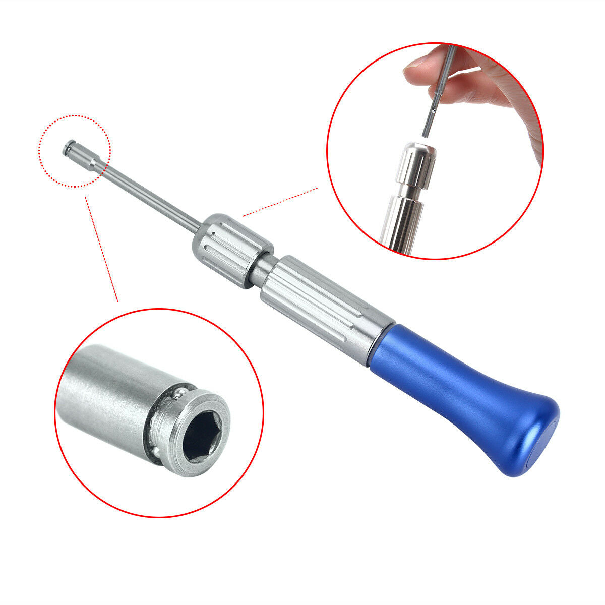 Orthodontic Dental Φ1.4 + Φ1.6 + Φ2.0mm Micro Implants Mini Screw + Screwdriver