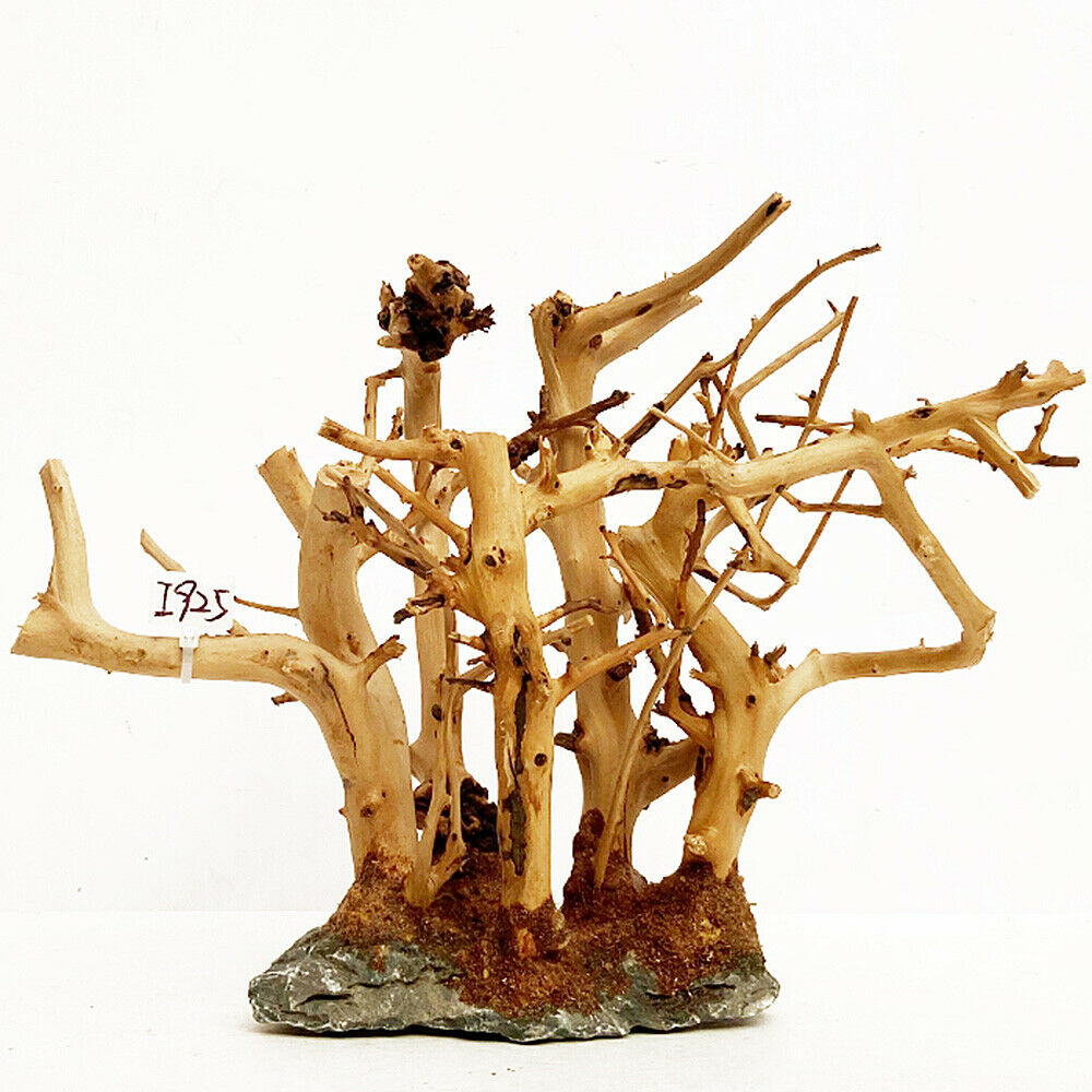 Small Forest Skeleton Wooden Branchâ€‹ Fish Tank Aquarium Landscape Ornament Decor