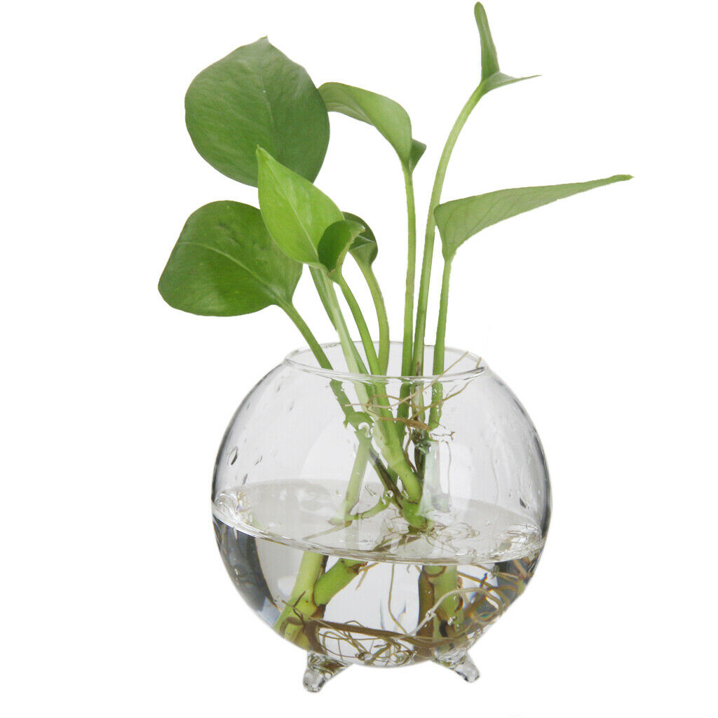 2 Pieces 8cm Ball Clear Glass Flowers Vase Bottle Micro Landscape Fairy Garden