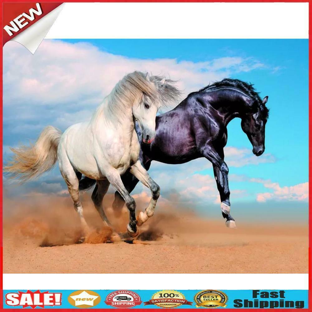 Painting By Numbers Kit DIY Fine Horse Hand Painted Canvas Oil Art Picture @