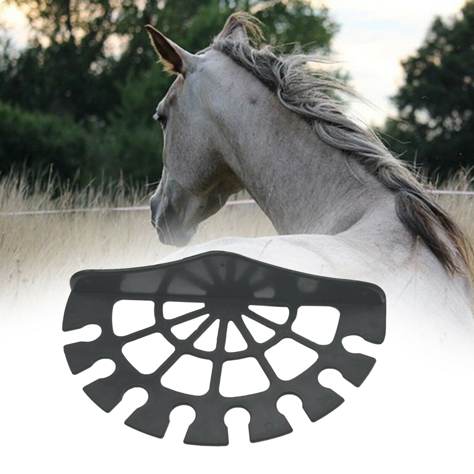 Horse Stables Crop Equipment Whip Rack Bracket Riding Whips Hanger Holder