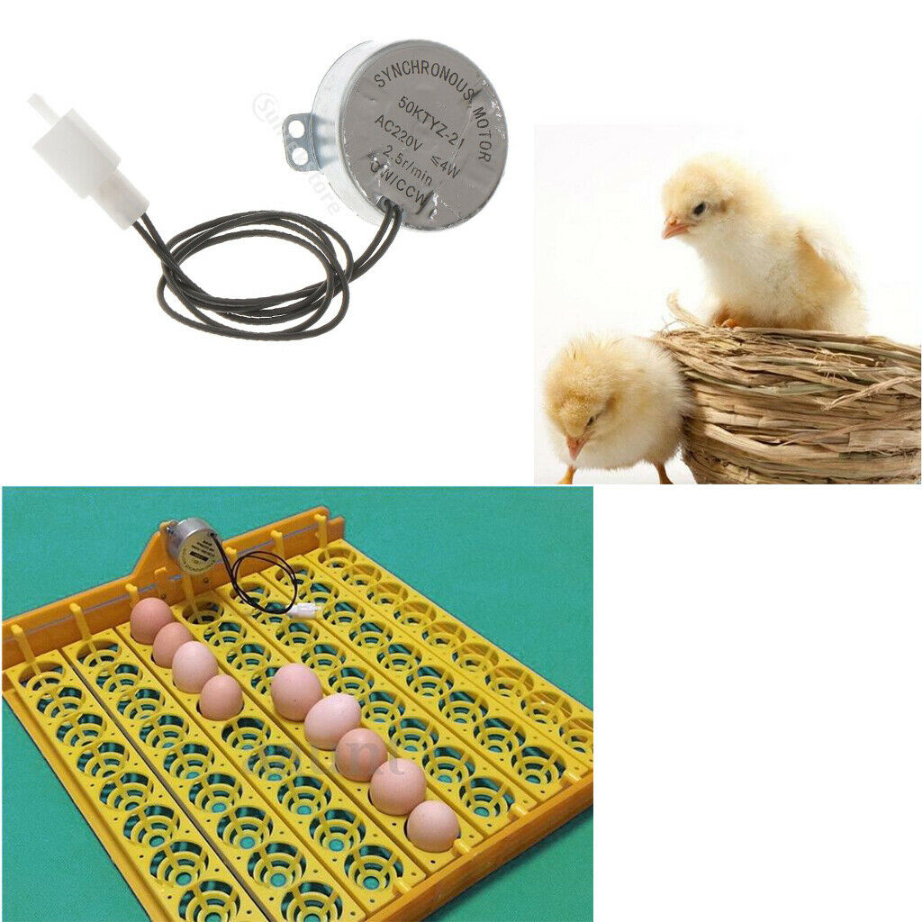 Universal Egg Incubator Hatcher Brooder Turning Turner Motor Components 220V