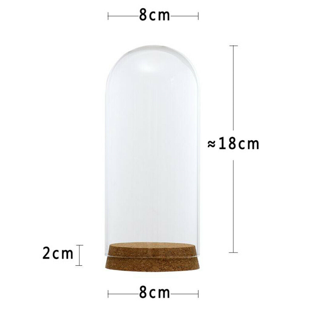 8x18 & 6.5x10cm Glass Dome Cover Cloche Bell Jar Terrariums with Wood