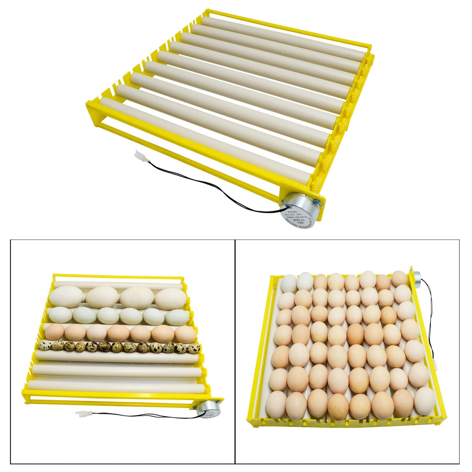 Egg Incubator Tray 360Â° Rotary Automatic Egg Turner Duck Quail 220V 9 Tubes