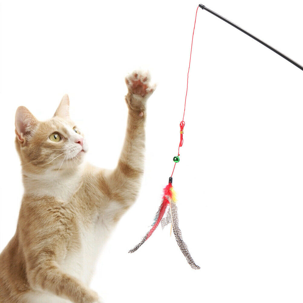 Cat Teaser Wand Toys Colorful Feather Rod Pet Interactive Stick with Bell @