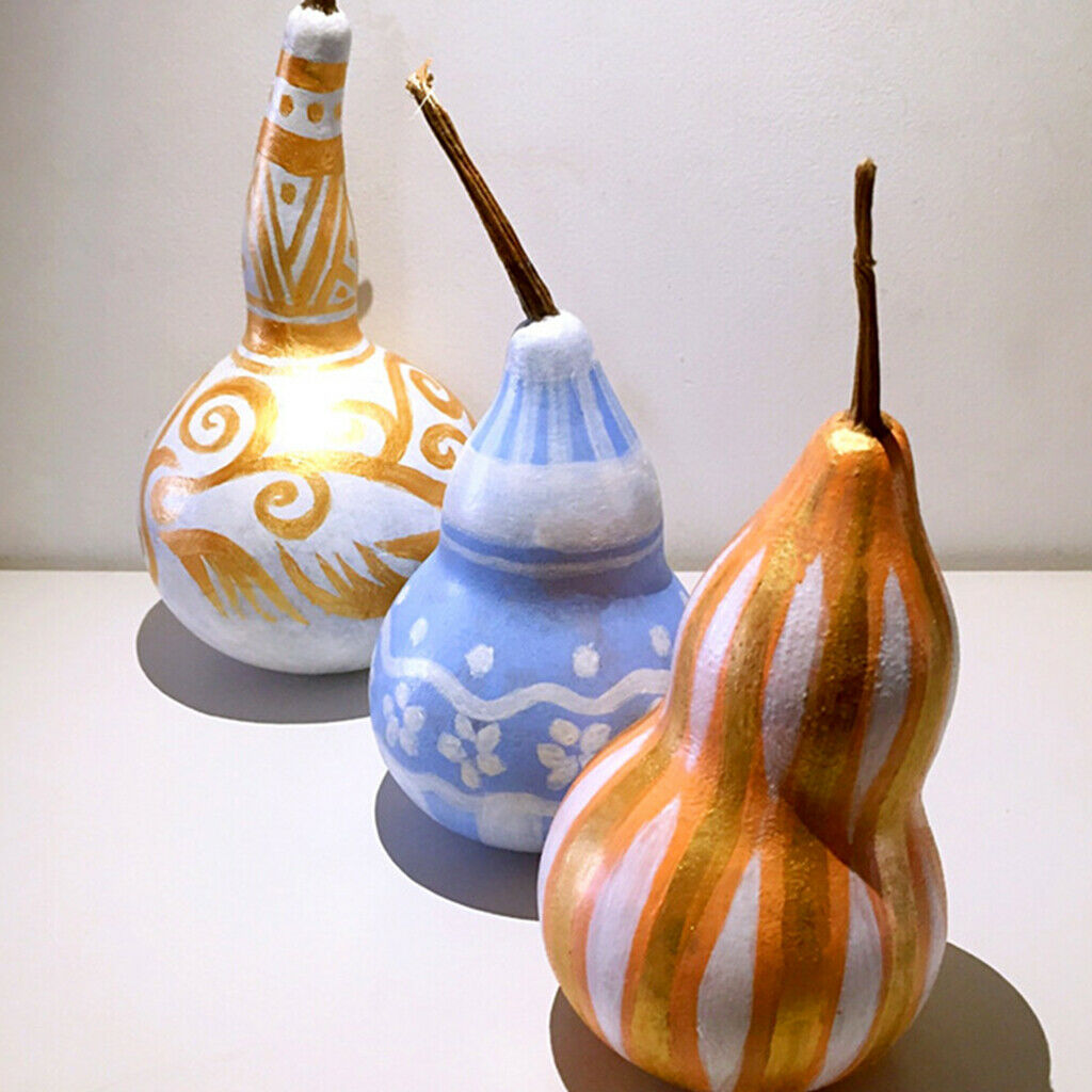 Real Tiny Dried Gourd Floral Kids Creative Painting Coloring Decoration