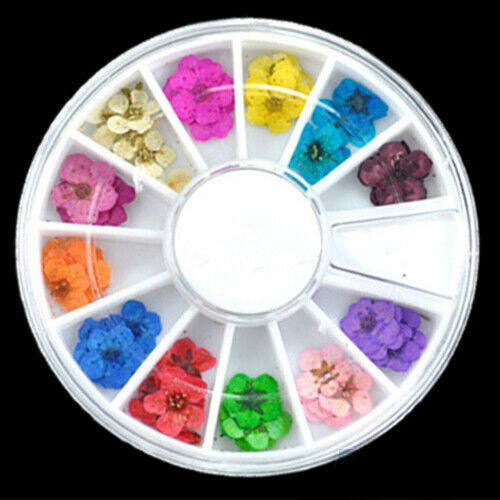 Dry Flower Salon Acrylic UV Gel Nail Art Manicure Crafts DIY Design Decorations