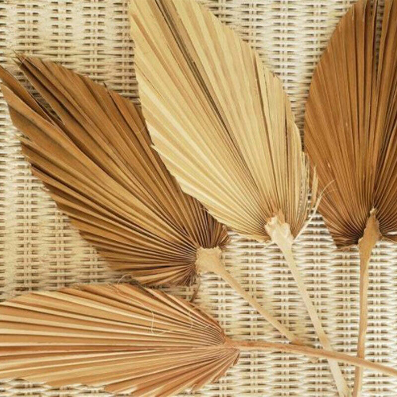1pc Dried Flower Natural Pu Fan Leaf For DIY Home Shop Display DecorationBDZ TL